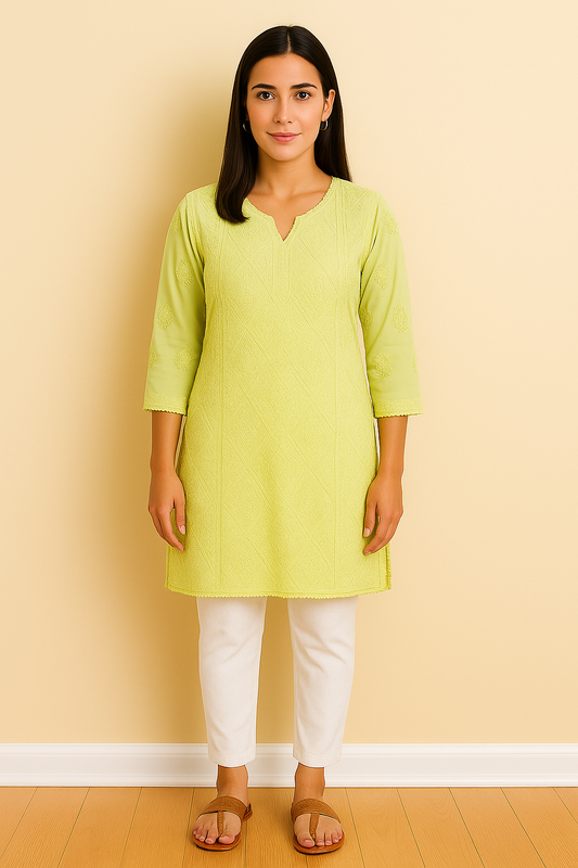 Chikankari Georgette Pastel Top