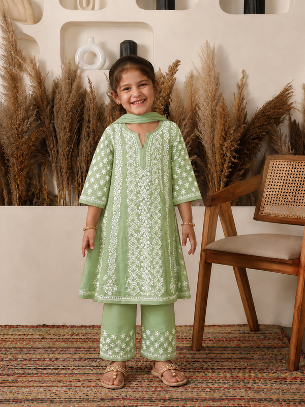 Shehzadi Cotton Green Anarkali Set