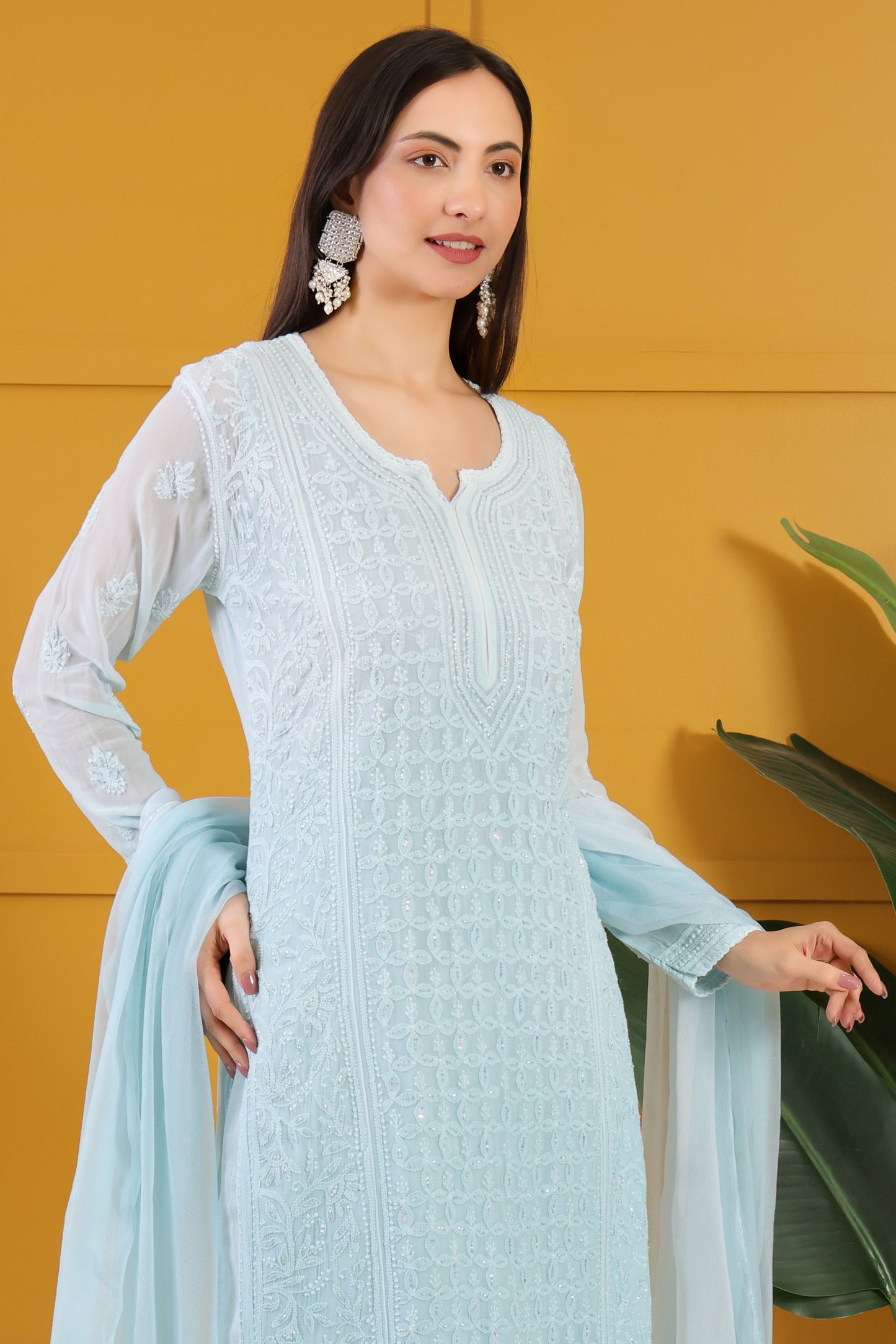 Roshan -e- Shimmer Chikankari Ensemble