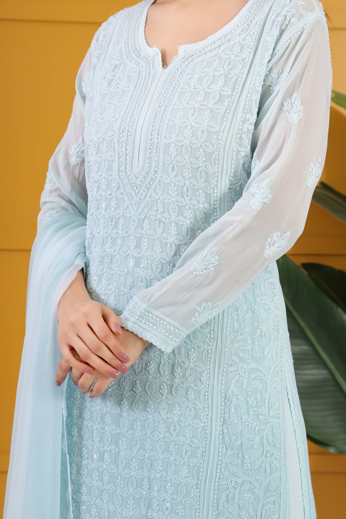 Roshan -e- Shimmer Chikankari Ensemble