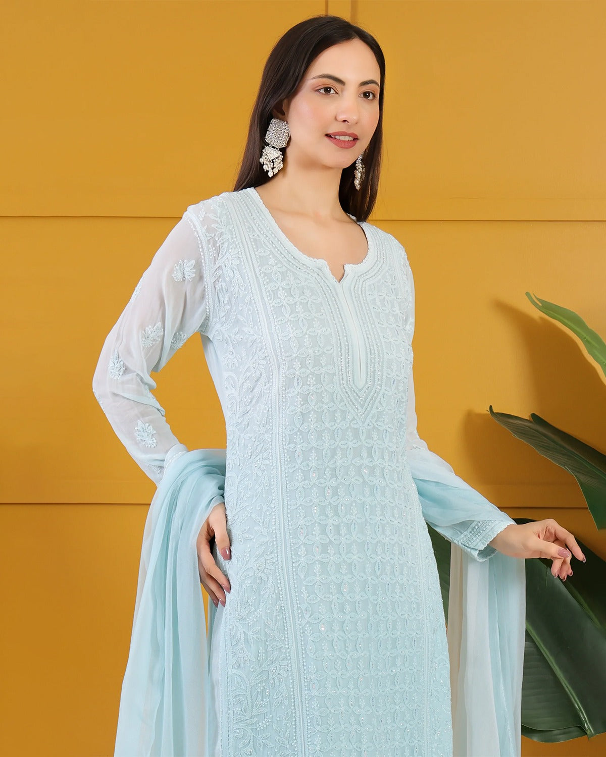 Roshan -e- Shimmer Chikankari Ensemble