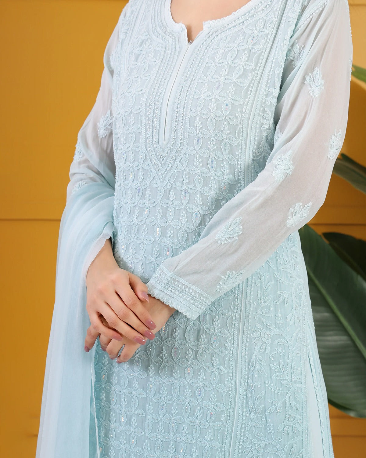 Roshan -e- Shimmer Chikankari Ensemble