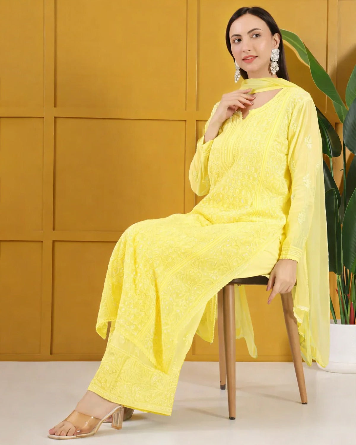 Roshan -e- Shimmer Chikankari Ensemble